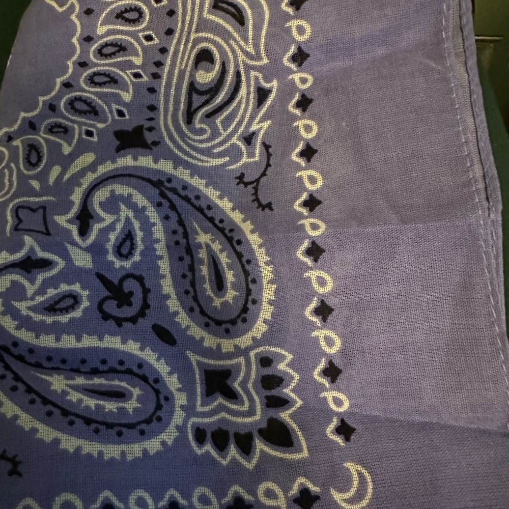 YASHICA PAISLEY PRINT SCARF - Picture 5 of 7